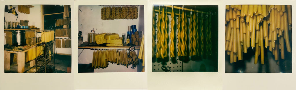 Beeswax Candles by Alysia Mazzella